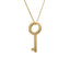 Standard Padlock Key