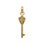 Engraved Escutcheon Padlock Key