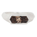 The Cathedral Signet with Montana Agate