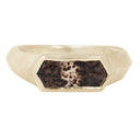 The Cathedral Signet with Montana Agate