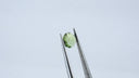 Australian Round Rosecut Sapphire - 1.08ct 6.7x6.7x2.4mm S0007