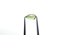 Australian Shield Rosecut Sapphire 1.17ct 10.56x5.24x2.34mm 26327-21