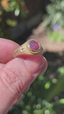 带有 Winza 蓝宝石的皇家战斗印章