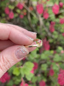 Stronghold Contour Ring with Padparadscha Sapphire - Size 6.75