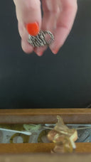 Plague Padlock and Keys