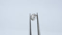 Round Rosecut Diamond .77ct 5.74x5.79x2.83mm D0002N
