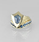 Saturn Eternity Band with Australian Sapphires