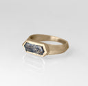 The Cathedral Signet with Montana Agate